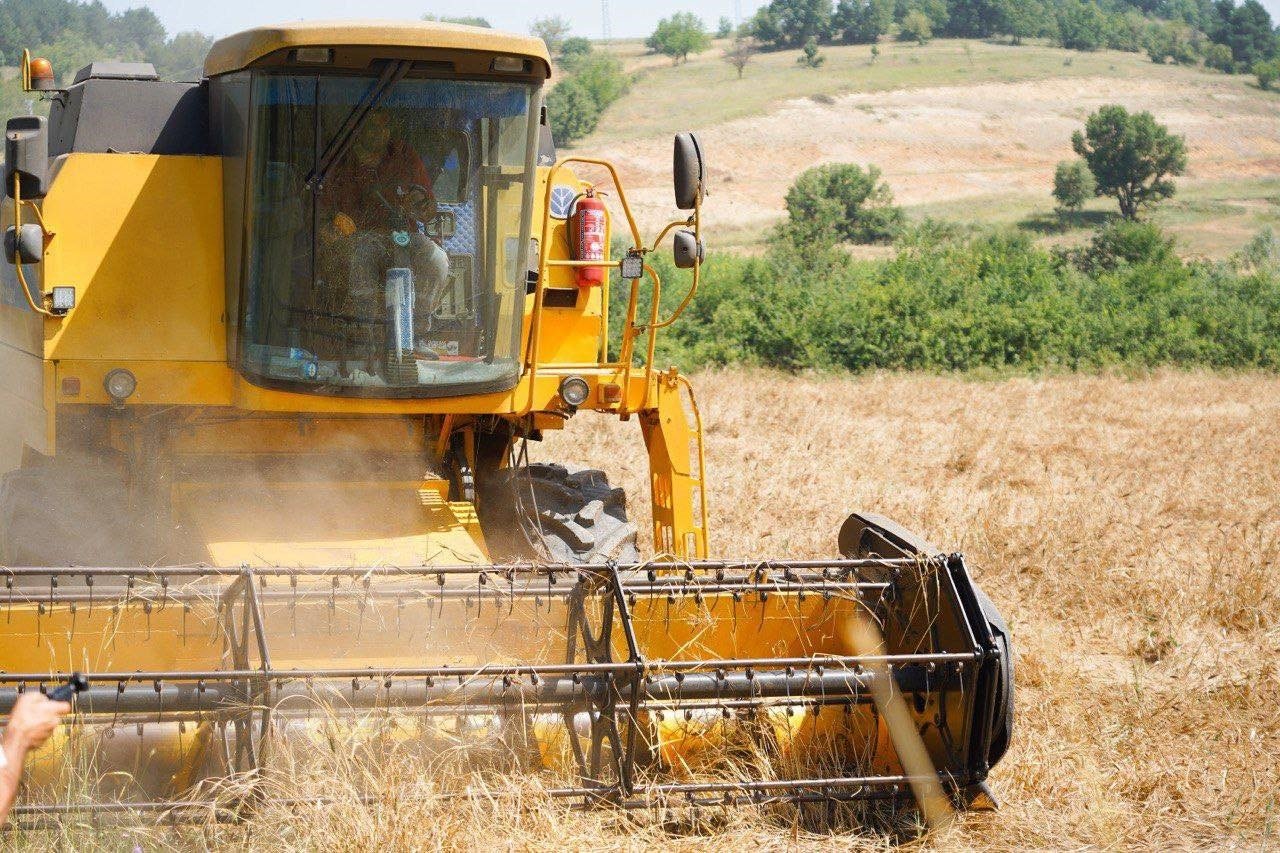 Geçen yıl deneme amaçlı toprakla buluşan karakılçık buğdayının hasadı yapıldı