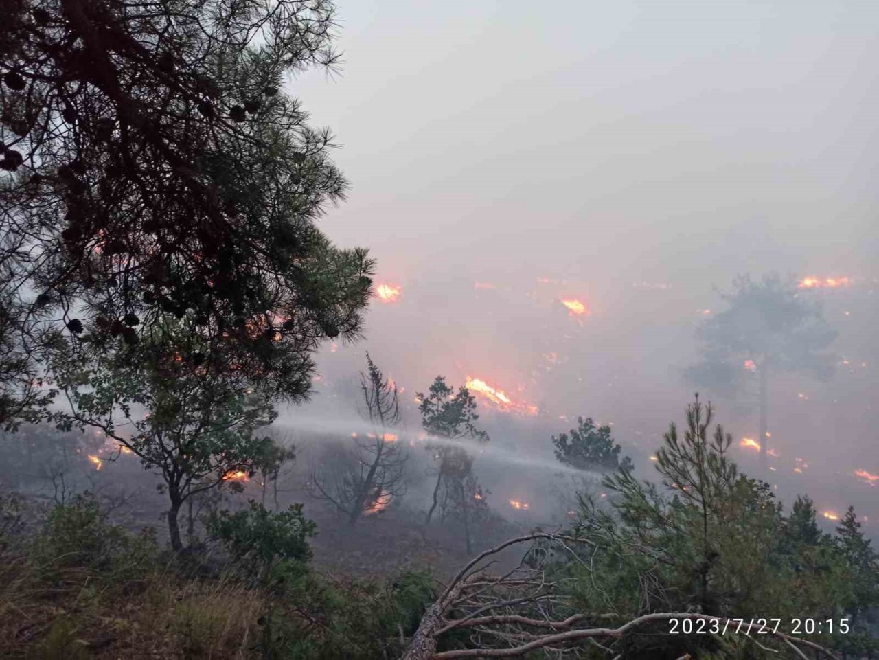 Bolu’da ormana düşen yıldırım yangın çıkardı
