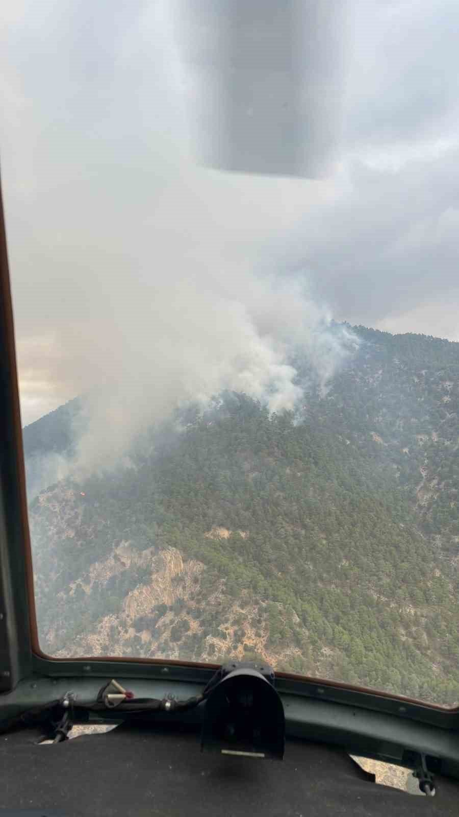 Bolu’da ormana düşen yıldırım yangın çıkardı