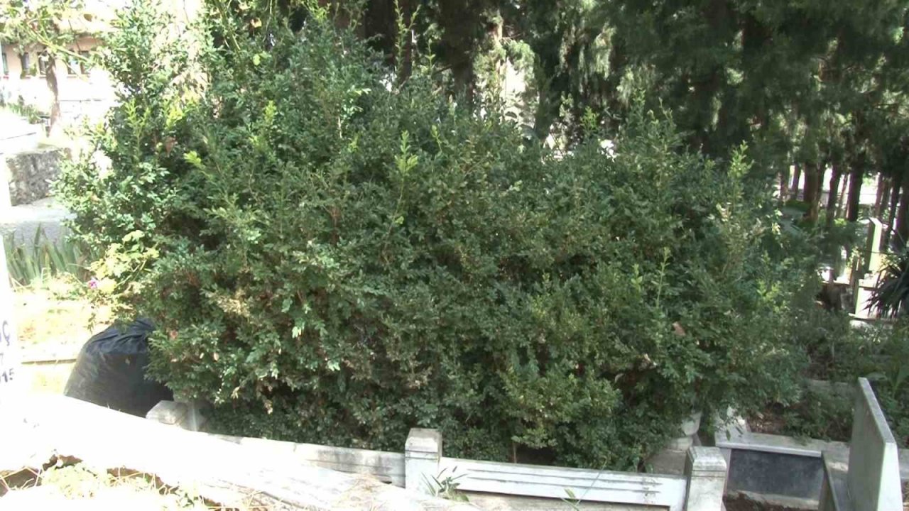 Kazım Baykal ölümünün 30. yılında unutuldu