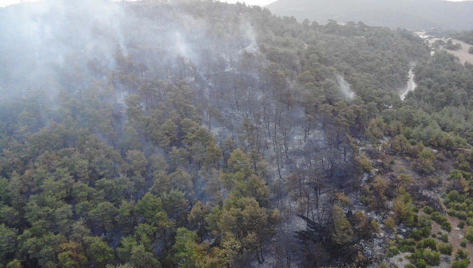 Çanakkale’deki orman yangını 16 saat sonra kontrol altına alındı