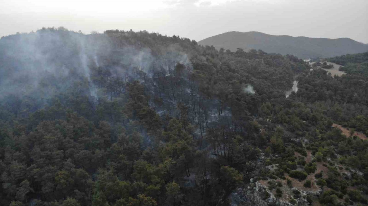 Çanakkale’deki orman yangınına günün ilk ışıklarıyla hava müdahalesi başladı