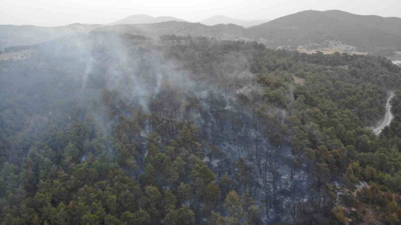 Çanakkale’deki orman yangınına günün ilk ışıklarıyla hava müdahalesi başladı