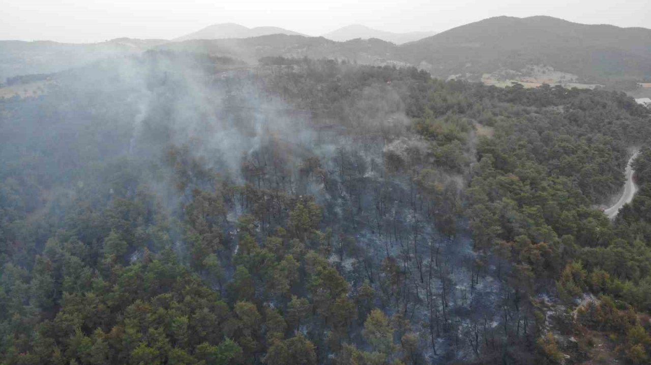 Çanakkale’deki orman yangınına günün ilk ışıklarıyla hava müdahalesi başladı