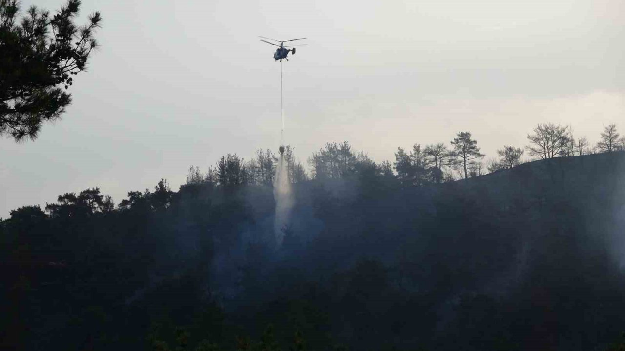 Çanakkale’deki orman yangınına günün ilk ışıklarıyla hava müdahalesi başladı