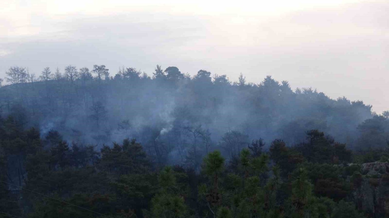 Çanakkale’deki orman yangınına günün ilk ışıklarıyla hava müdahalesi başladı