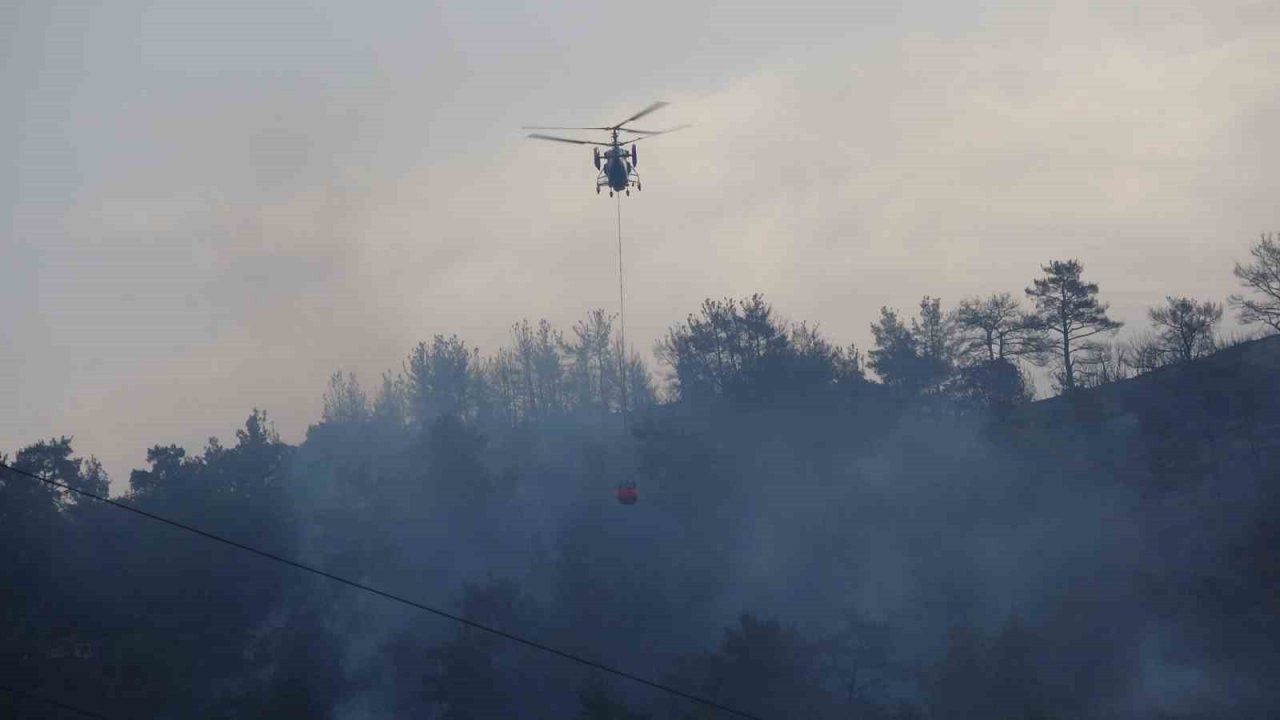 Çanakkale’deki orman yangınına günün ilk ışıklarıyla hava müdahalesi başladı