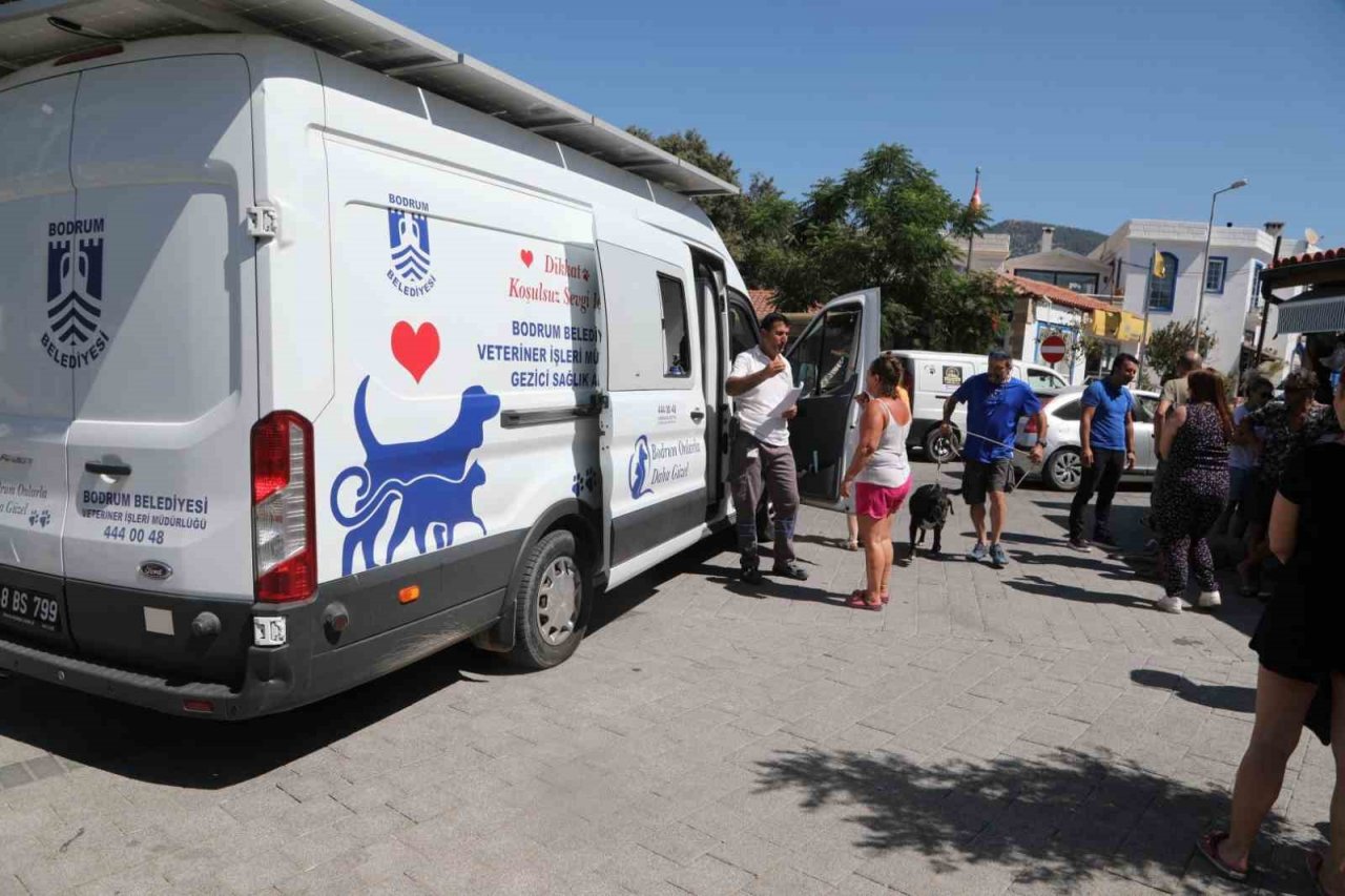 Çipleme, aşılama, genel sağlık kontrolü yapıyorlar