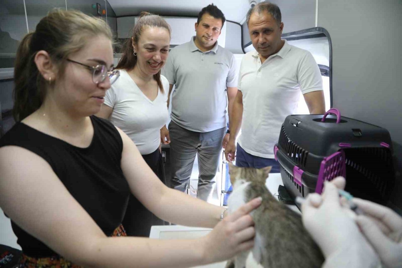 Çipleme, aşılama, genel sağlık kontrolü yapıyorlar