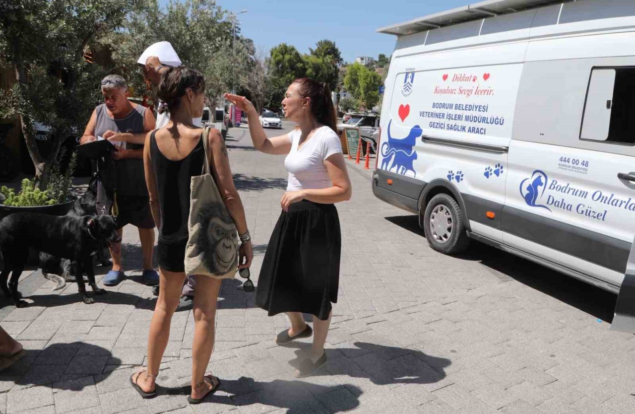 Çipleme, aşılama, genel sağlık kontrolü yapıyorlar