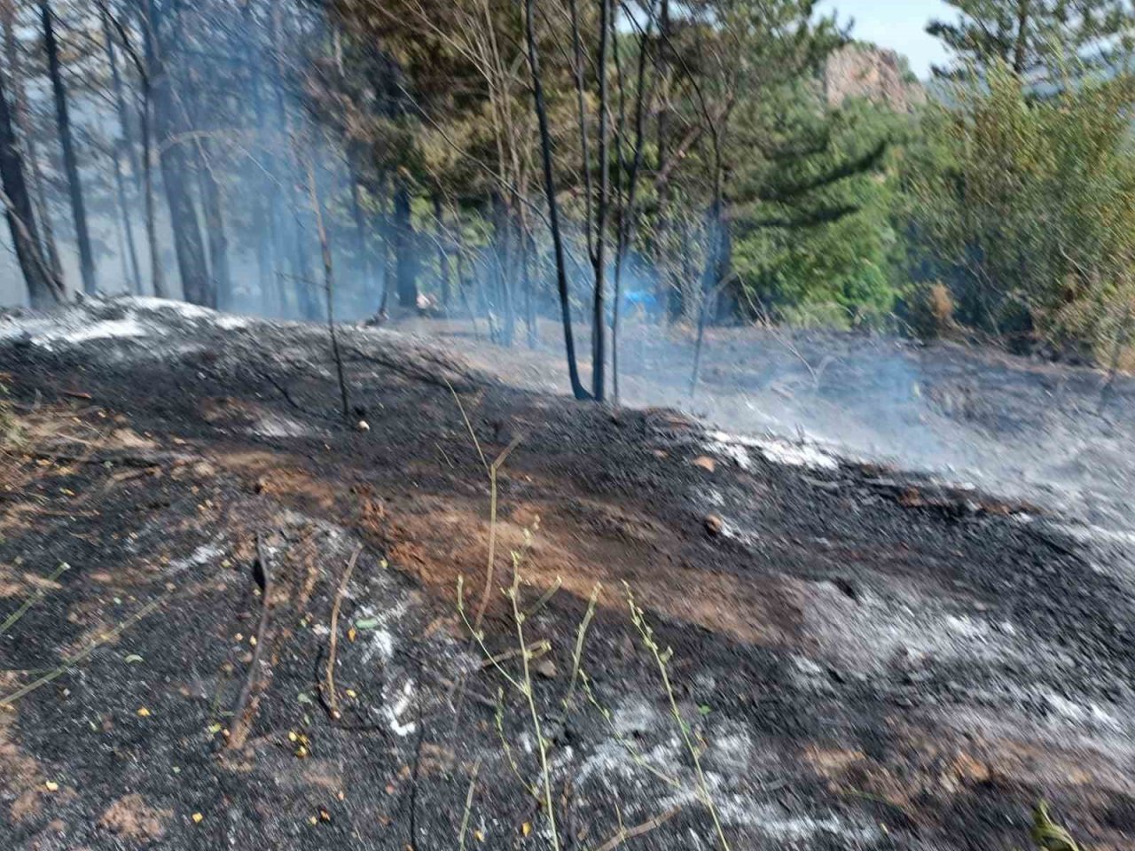Gediz’de çamlık alanda çıkan yangın büyümeden söndürüldü