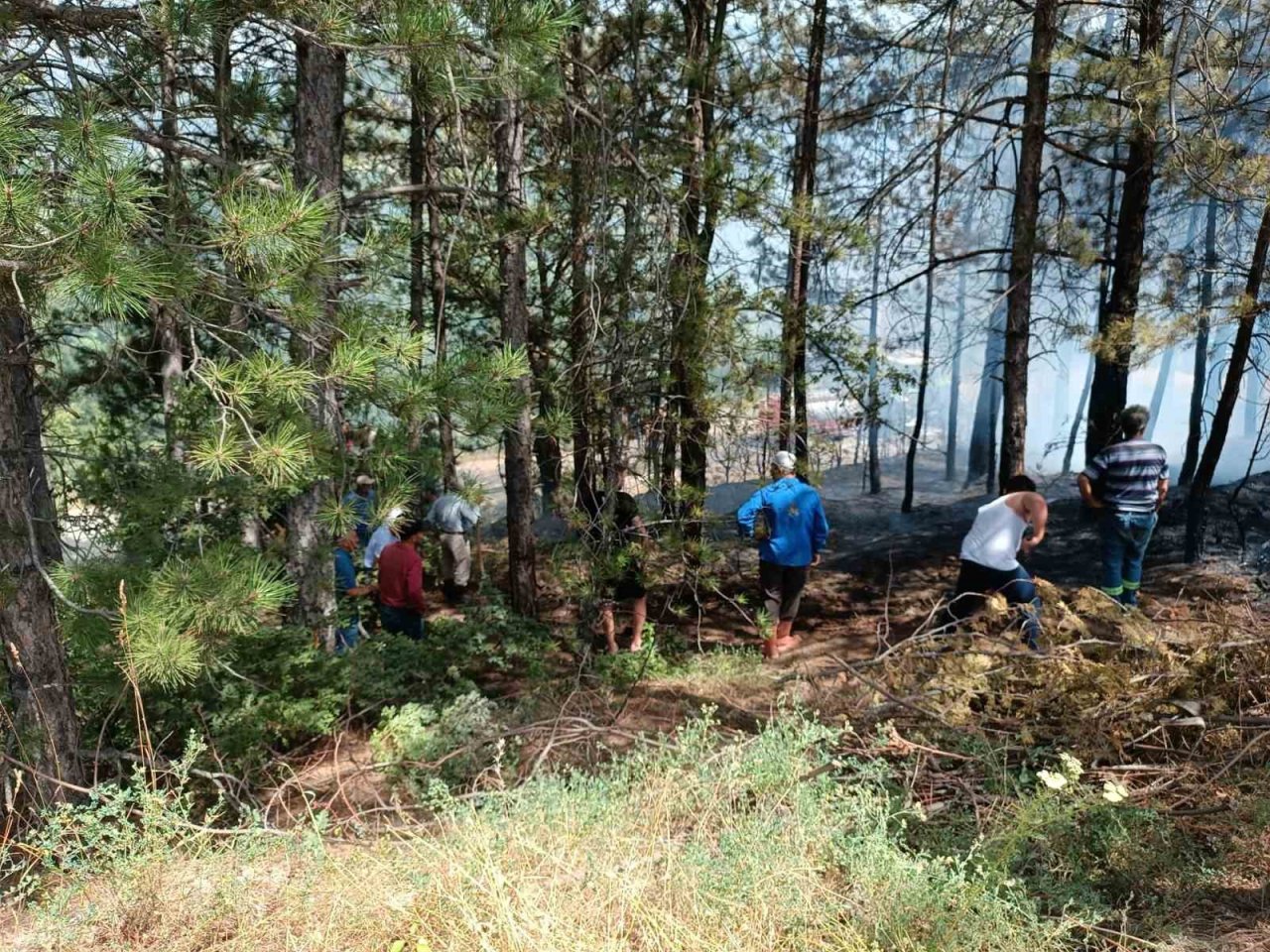 Gediz’de çamlık alanda çıkan yangın büyümeden söndürüldü
