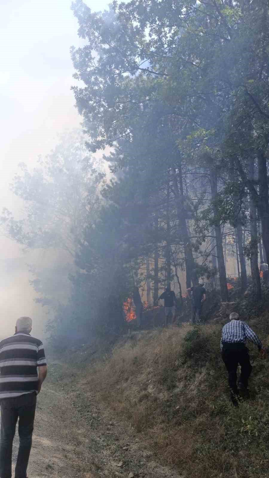 Gediz’de çamlık alanda çıkan yangın büyümeden söndürüldü