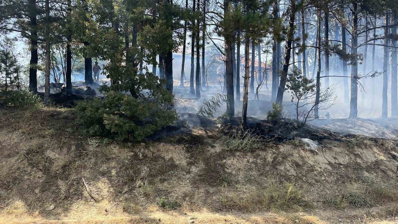 Gediz’de çamlık alanda çıkan yangın büyümeden söndürüldü