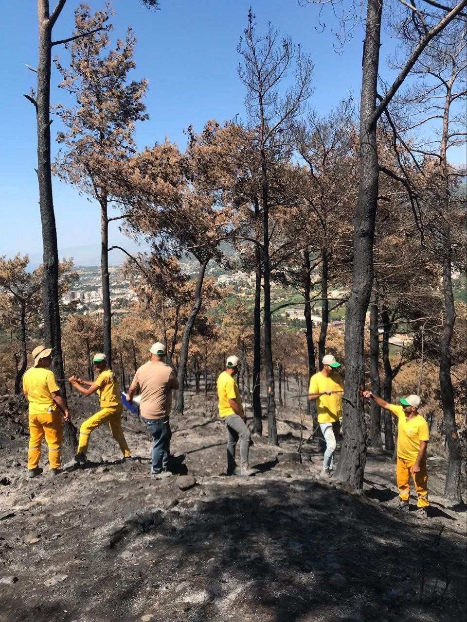Yanan ormanda hasar tespit çalışmaları başladı
