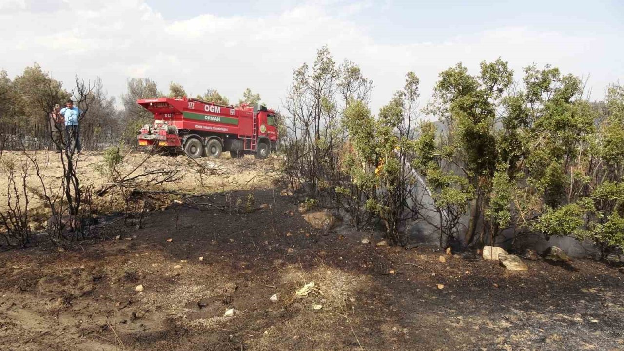 Isparta’da 150 dekar buğday tarlası ve 1 hektar ormanlık alan kül oldu