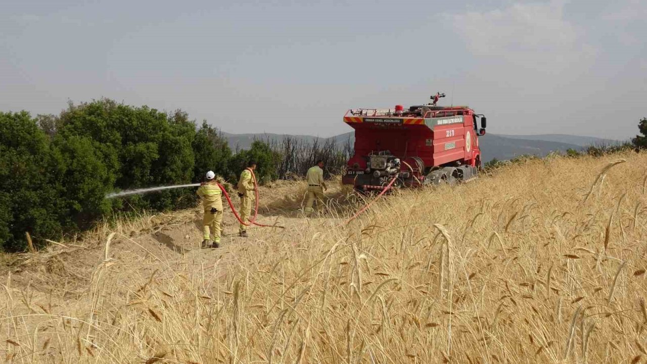 Isparta’da 150 dekar buğday tarlası ve 1 hektar ormanlık alan kül oldu
