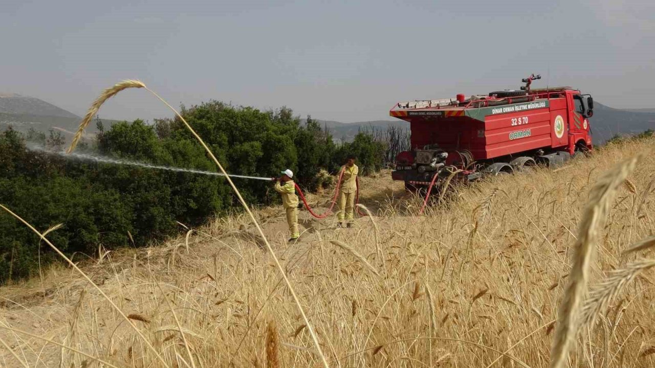 Isparta’da 150 dekar buğday tarlası ve 1 hektar ormanlık alan kül oldu