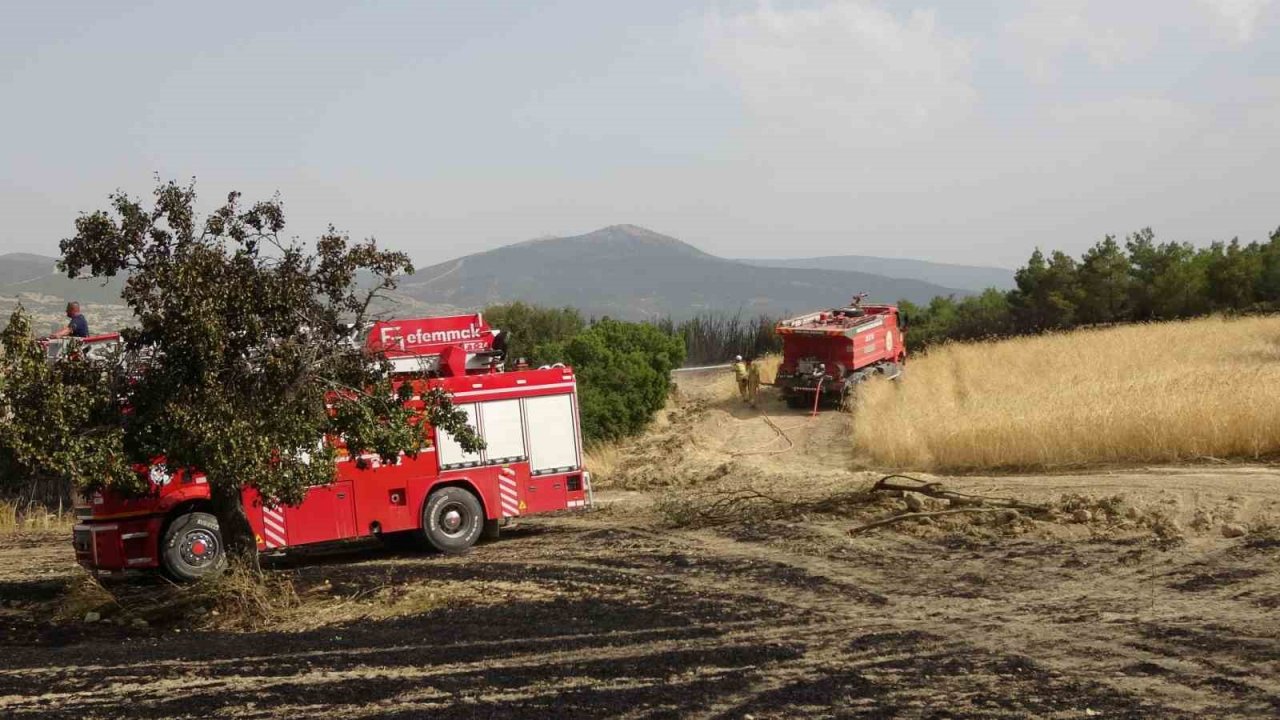Isparta’da 150 dekar buğday tarlası ve 1 hektar ormanlık alan kül oldu
