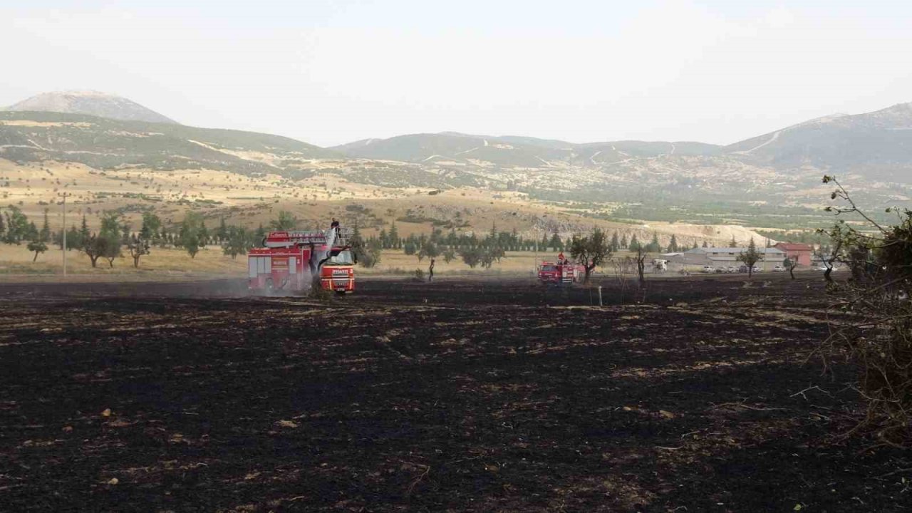 Isparta’da 150 dekar buğday tarlası ve 1 hektar ormanlık alan kül oldu