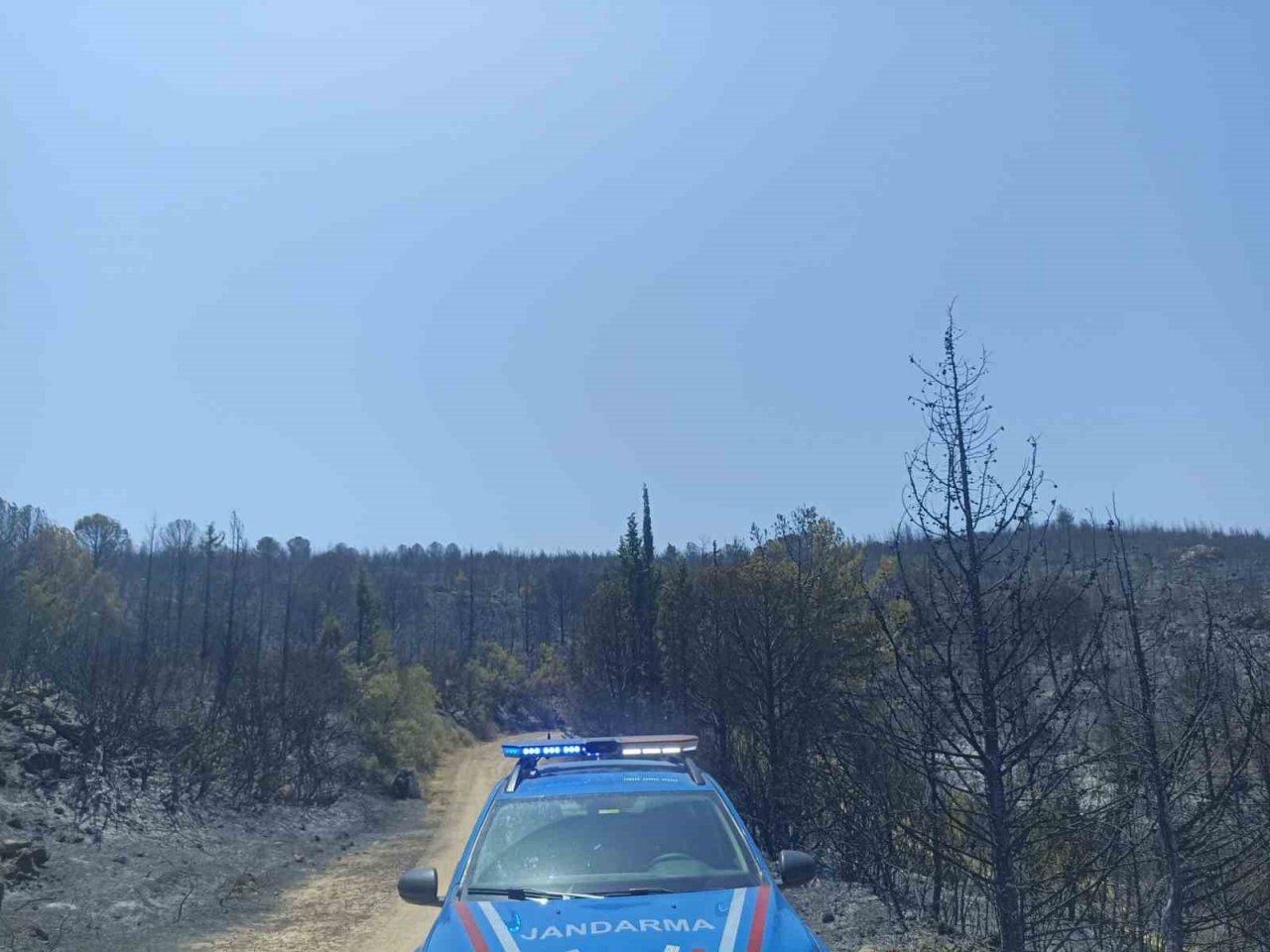 Kınık’taki yangınla ilgili gözaltına alınan kişi serbest