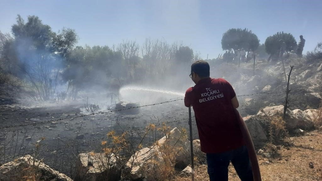 Koçarlı’da zirai alan ve orman yangını