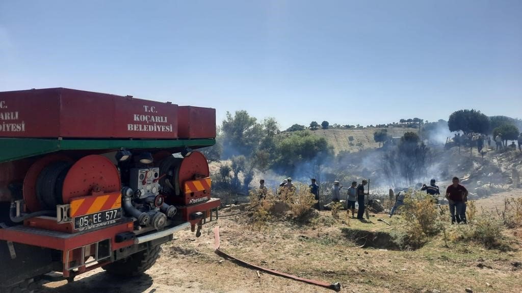 Koçarlı’da zirai alan ve orman yangını