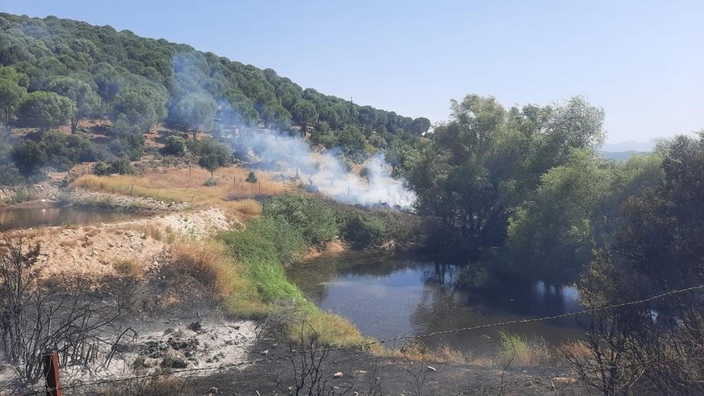 Koçarlı’da zirai alan ve orman yangını