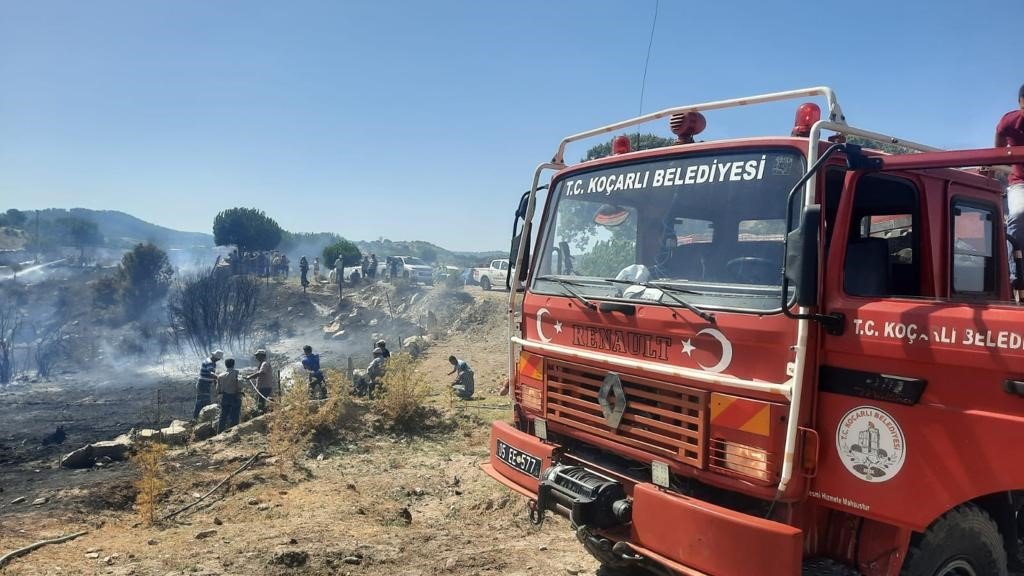 Koçarlı’da zirai alan ve orman yangını
