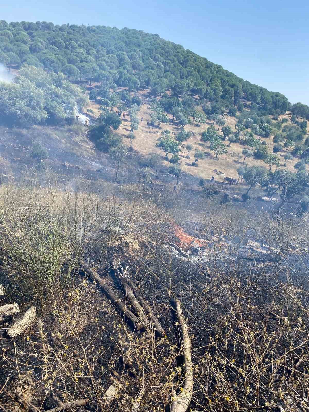 Koçarlı’da zirai alan ve orman yangını