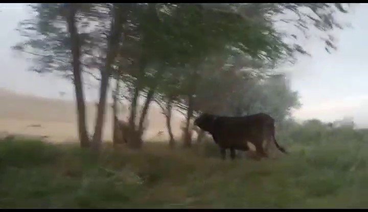 Sungurlu’da kum fırtınası çıktı