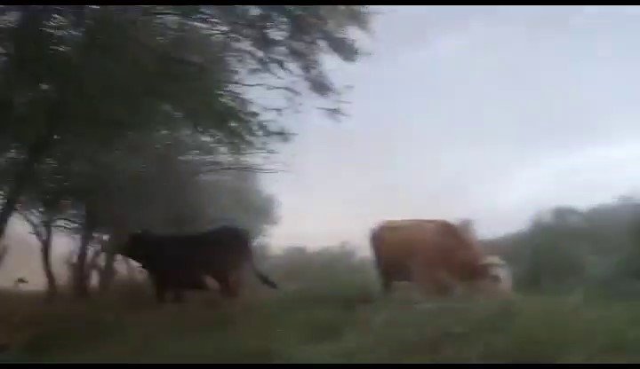 Sungurlu’da kum fırtınası çıktı