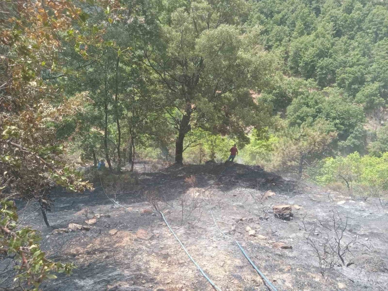 Alaşehir’deki orman yangını kontrol altında