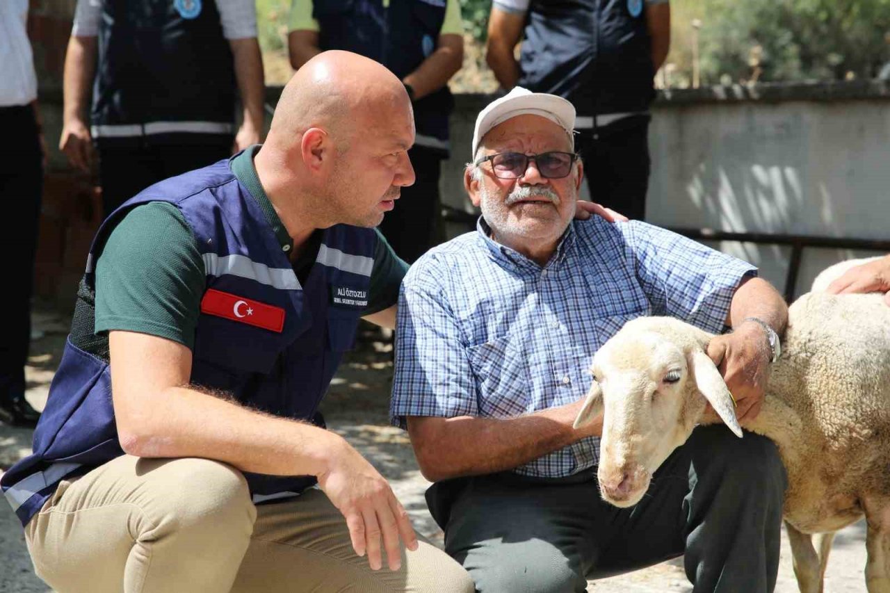 Orman yangınından etkilenen mahalle için devlet seferber oldu