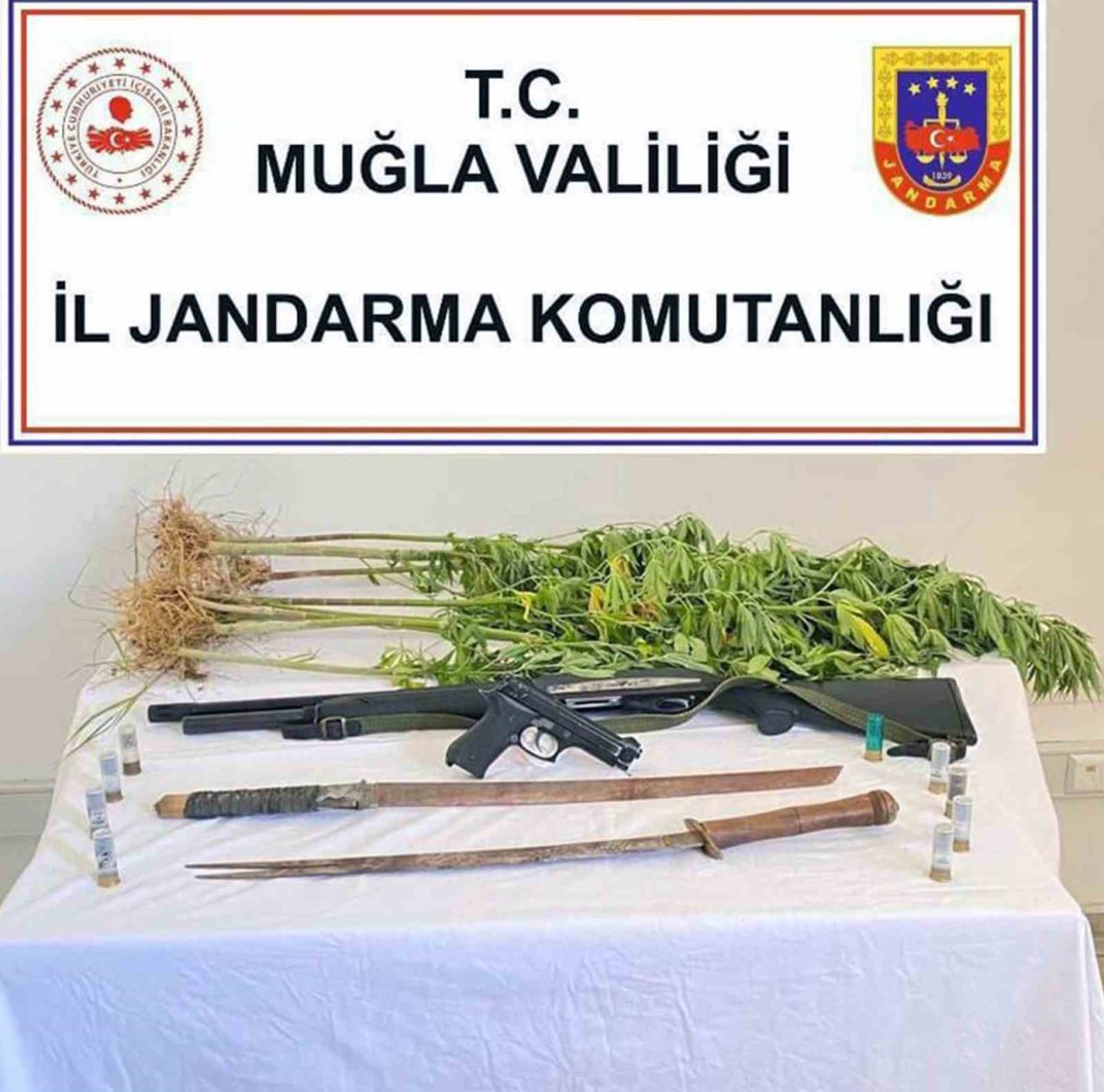 Muğla’nın 4 ilçesinde uyuşturucu operasyonu