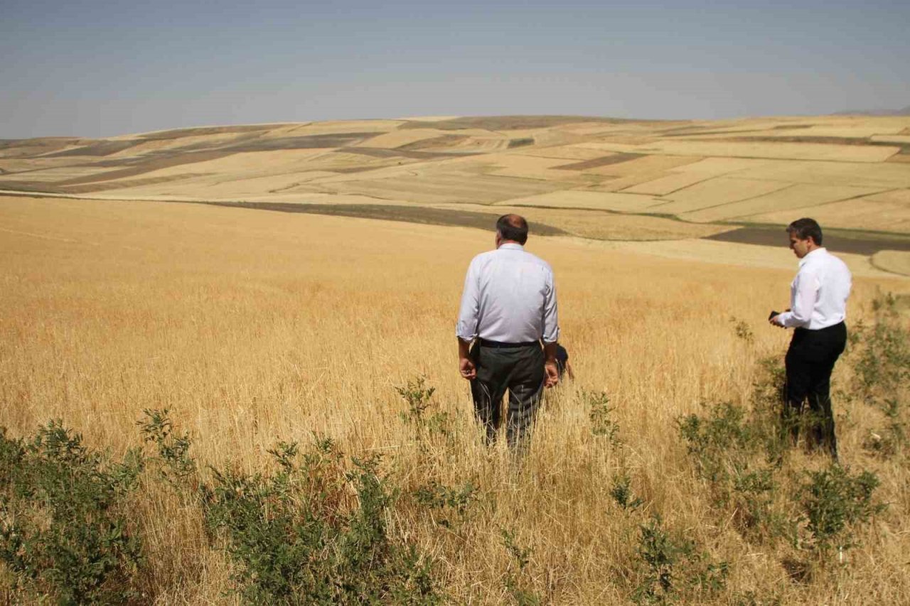 Dolu yağışı tarım arazilerine zarar verdi