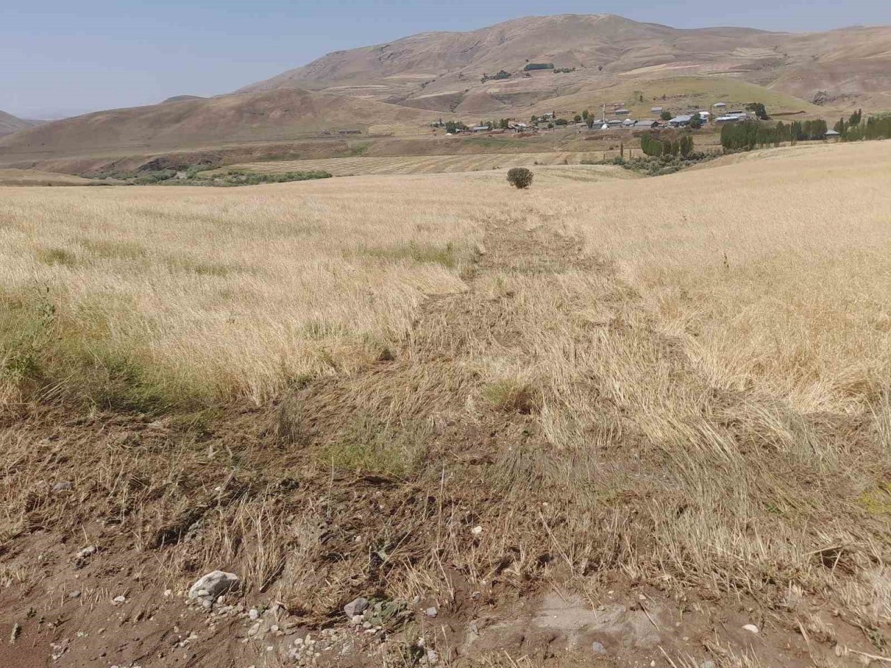 Dolu yağışı tarım arazilerine zarar verdi