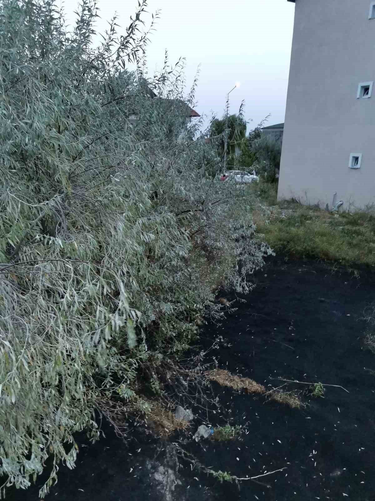 Otluk alanda başlayan yangın evlere sıçramadan söndürüldü