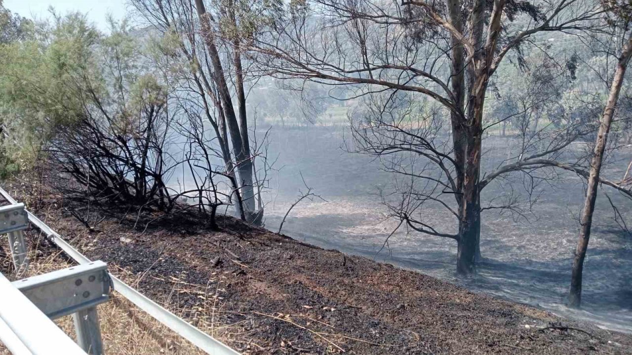 Otoyol kenarındaki yangın itfaiyenin müdahalesi ile söndürüldü
