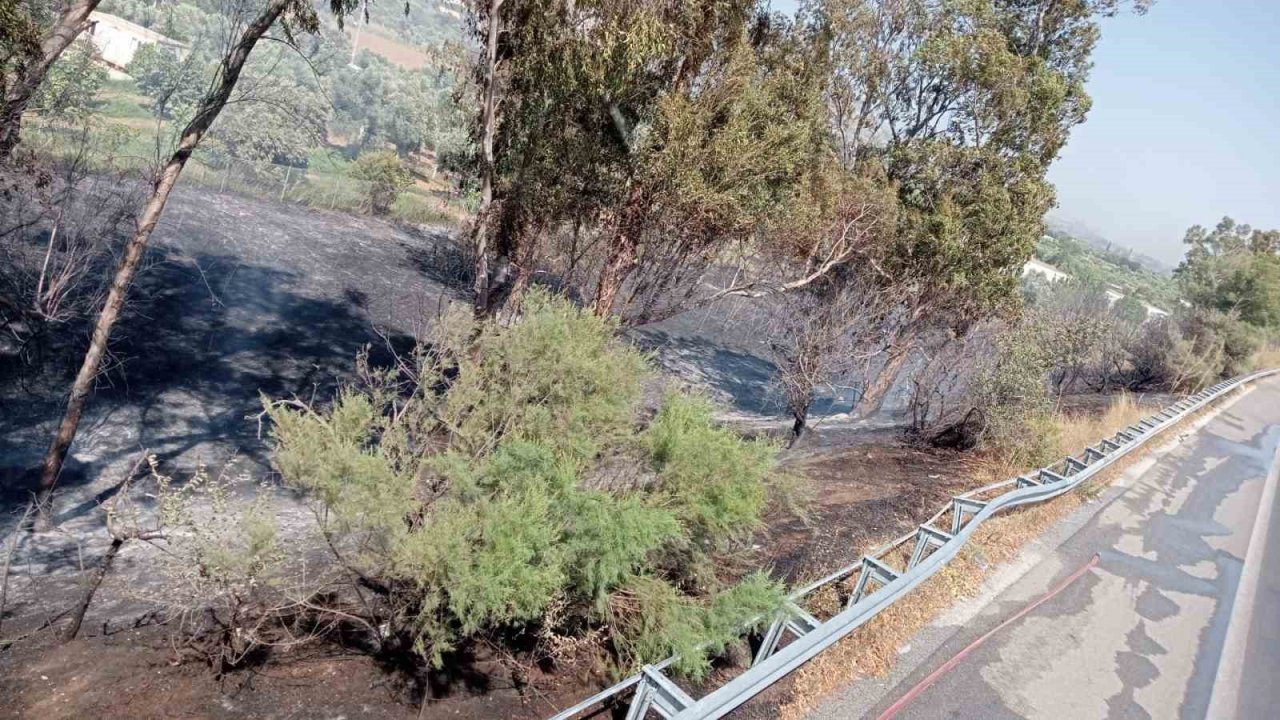 Otoyol kenarındaki yangın itfaiyenin müdahalesi ile söndürüldü