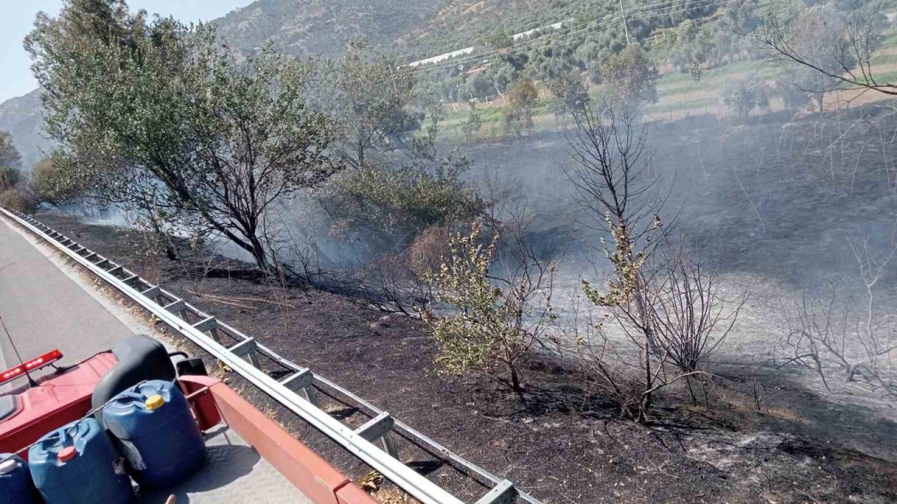 Otoyol kenarındaki yangın itfaiyenin müdahalesi ile söndürüldü