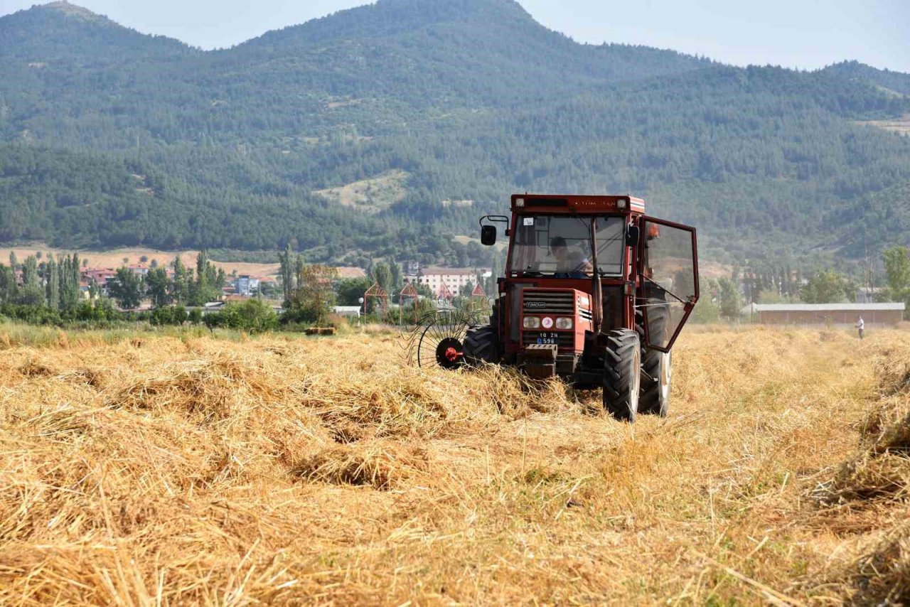 Sındırgı’da kışlık yem hasadı gerçekleştirildi
