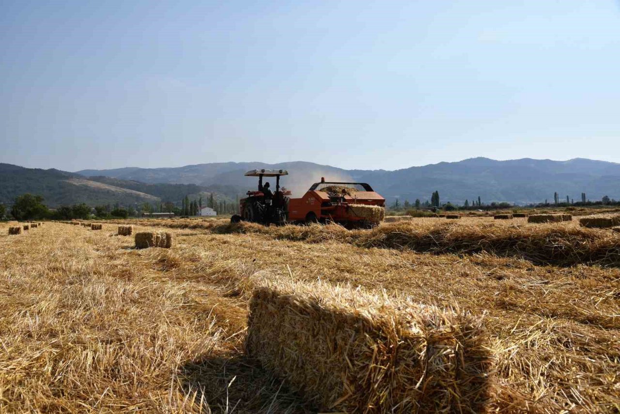 Sındırgı’da kışlık yem hasadı gerçekleştirildi