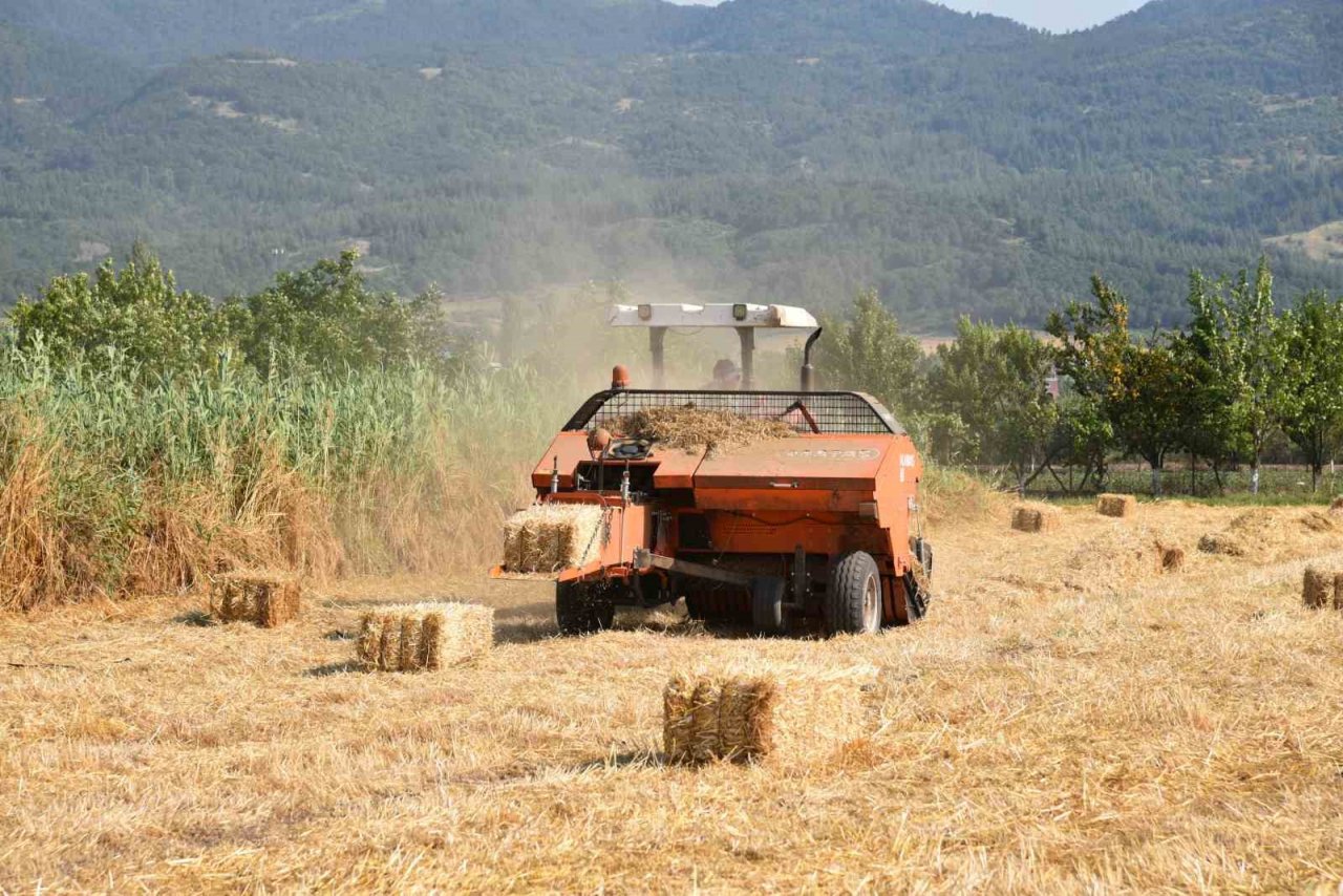 Sındırgı’da kışlık yem hasadı gerçekleştirildi
