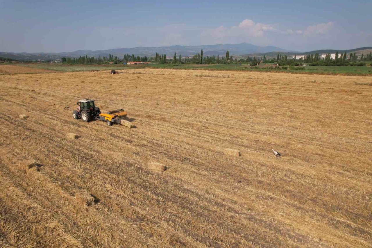 Sındırgı’da kışlık yem hasadı gerçekleştirildi