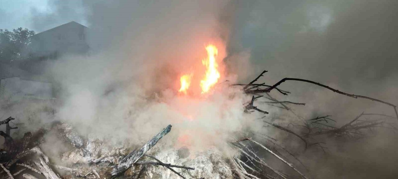 Boş arsada çıkan yangın korkuttu