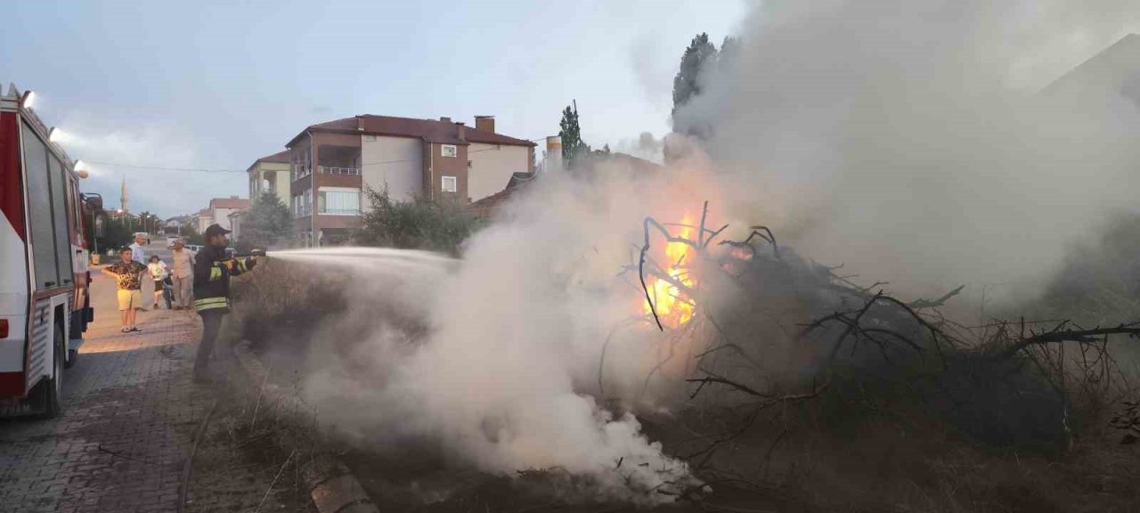 Boş arsada çıkan yangın korkuttu