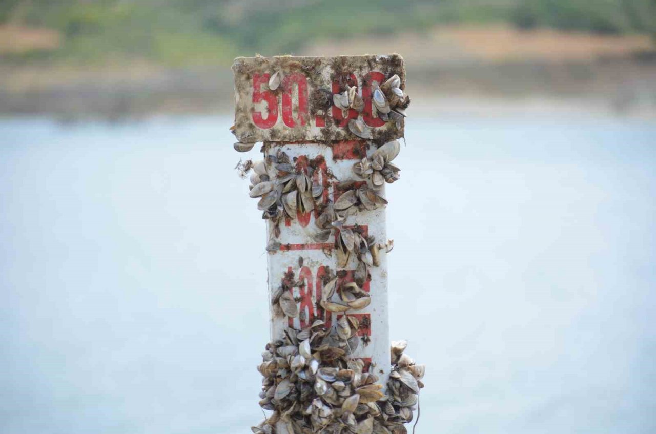 Tekirdağ’ın 2 ilçesi diken üzerinde: Sular her an kesilebilir