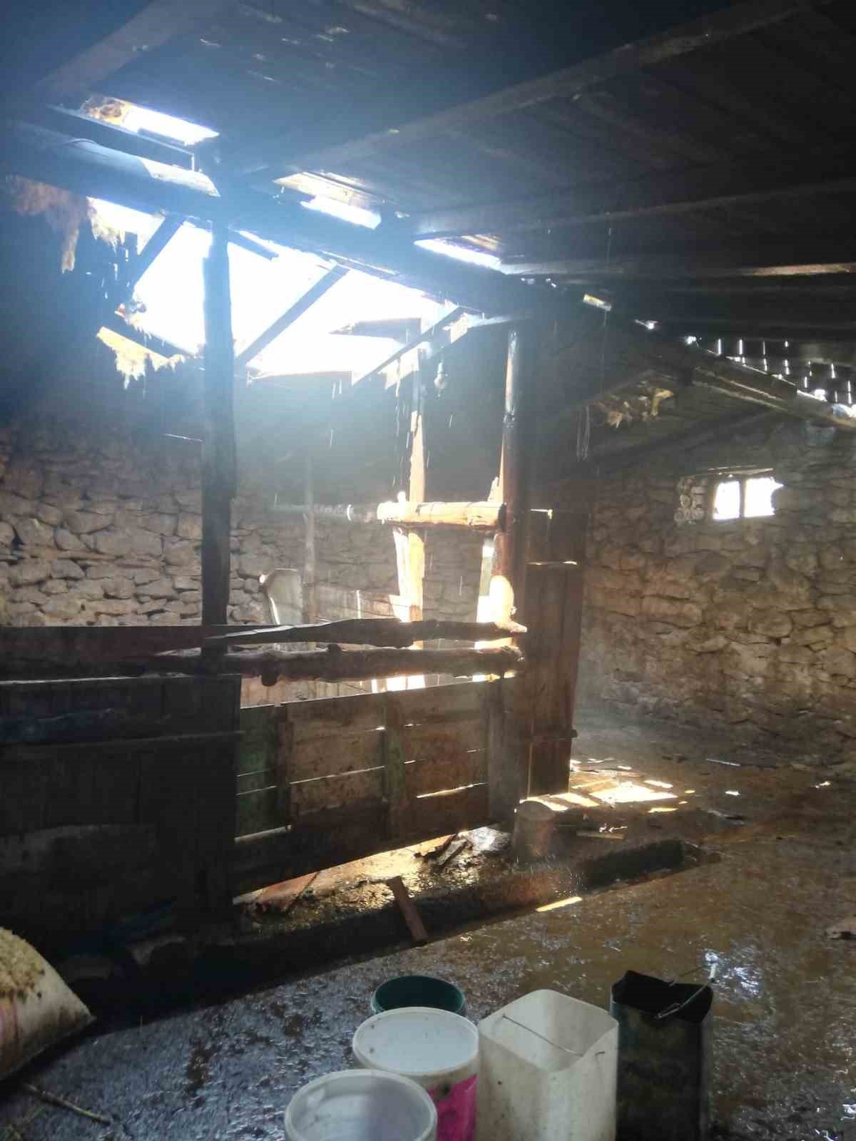 Ağrı’da ahırda çıkan yangında 3 inek telef oldu