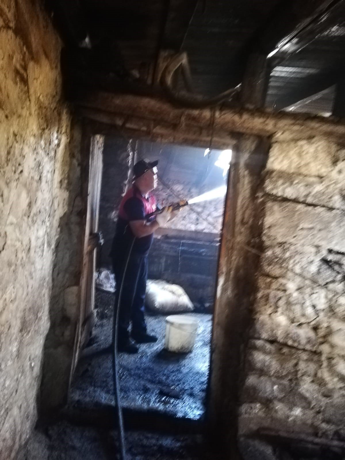 Ağrı’da ahırda çıkan yangında 3 inek telef oldu